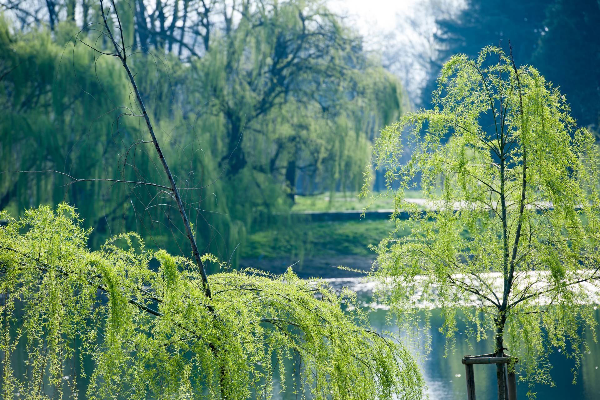 Hôtel club Lac d'Orient